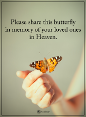 butterfly-heaven-24.png